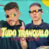 Tudo Tranquilo Favorável - Single album lyrics, reviews, download