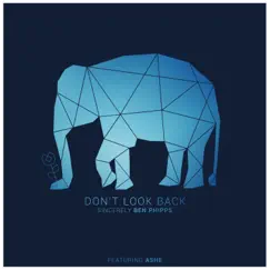 Don't Look Back (feat. Ashe) Song Lyrics