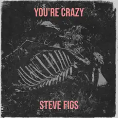 You're Crazy - Single by Steve Figs album reviews, ratings, credits