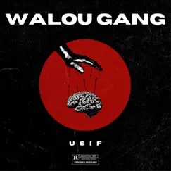 Walou Gang - Single by Usif album reviews, ratings, credits