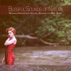 Ultimate Wellness Center Sounds (Nature Sounds Version) Song Lyrics