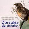 Zorzales de Antaño - Orquesta Rodolfo Biagi - Adiós Pampa Mia album lyrics, reviews, download