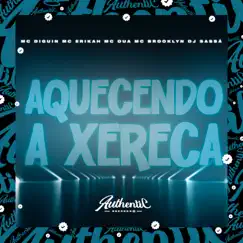 Aquecendo a Xereca (feat. MC Diguin, MC BROOKLYN, MC OUÁ & Mc Erikah) Song Lyrics