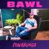Cowabunga - EP album lyrics, reviews, download