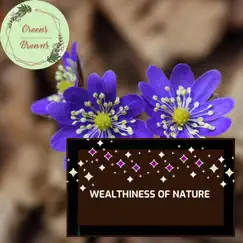 Wealthiness of Nature by Calm music & Massage Tribe album reviews, ratings, credits