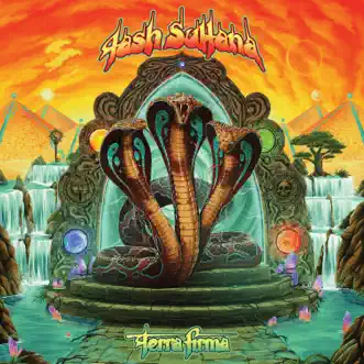 Terra Firma by Tash Sultana album download