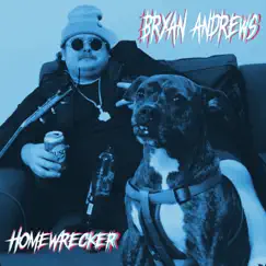 Homewrecker - Single by Bryan Andrews album reviews, ratings, credits