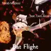 Bat Flight (feat. Cem Aksel) - Single album lyrics, reviews, download