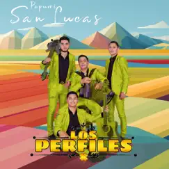 Popurrí San Lucas / Ojos Marrones / San Lucas / Por Que Te Vas - Single by Los Perfiles album reviews, ratings, credits