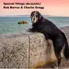 Special Things (feat. Charlie Gregg) [Acoustic] - Single album lyrics, reviews, download
