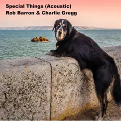 Special Things (feat. Charlie Gregg) [Acoustic] - Single by Rob Barron / BearRon album reviews, ratings, credits