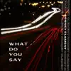 What Do You Say (Guitar Version) - Single album lyrics, reviews, download