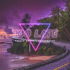 Too Late (feat. Paperwhite) Song Lyrics