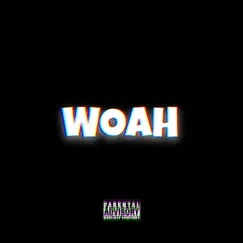 WOAH - Single by Ace SavXge album reviews, ratings, credits