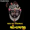 Mara Ghat Ma Birajta Shrinathji - Single album lyrics, reviews, download