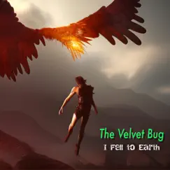 I Fell to Earth - Single by The Velvet Bug album reviews, ratings, credits