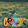 Crazy Horse - Single album lyrics, reviews, download