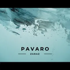 Zaraz - Single by Pavaro album reviews, ratings, credits