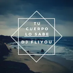 Tu Cuerpo Lo Sabe - Single by DJ Fliyou album reviews, ratings, credits
