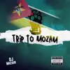 Trip To Mozam - Single album lyrics, reviews, download