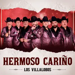 Hermoso Cariño - Single by Los Villalobos album reviews, ratings, credits