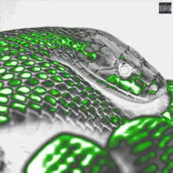 Snakes - Single by ROACH iKARi album reviews, ratings, credits