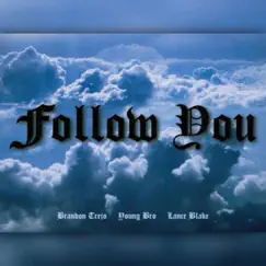 Follow You (feat. Brandon Trejo & Young Bro) - Single by Lance Blake album reviews, ratings, credits