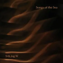 S=K.log W Song Lyrics