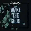 Wake the Gods - Single album lyrics, reviews, download