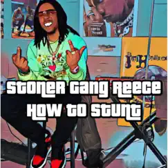 How To Stunt - Single by Stoner Gang Reece album reviews, ratings, credits