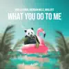 What You Do to Me - Single album lyrics, reviews, download