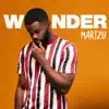 Wonder - Single album lyrics, reviews, download