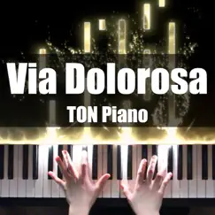 Via Dolorosa - Single by TON Piano album reviews, ratings, credits