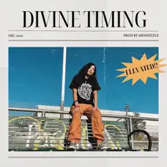 Divine Timing - Single by Elevated album reviews, ratings, credits