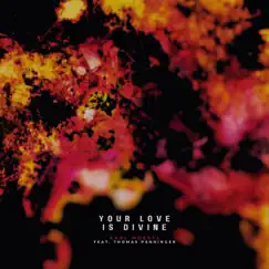 Your Love Is Divine (feat. Thomas Penninger) - Single by Karl Moestl album reviews, ratings, credits
