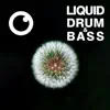 Liquid Drum & Bass Sessions #51 album lyrics, reviews, download