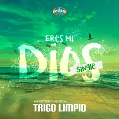 Eres mi Dios - Single by Ministerio Musical Trigo Limpio album reviews, ratings, credits