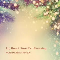 Lo, How a Rose E'er Blooming - Single by Wandering River album reviews, ratings, credits