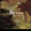 Calm Music for Studying album lyrics, reviews, download