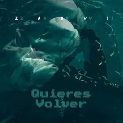 Quieres Volver - Single by ZabVi album reviews, ratings, credits