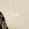 Ice Cube - Single album lyrics, reviews, download