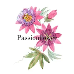 Passionflower - Single by Henarchie album reviews, ratings, credits