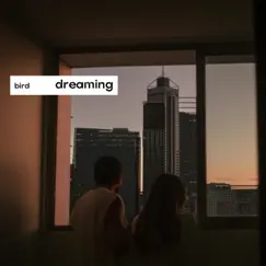 Dreaming Song Lyrics