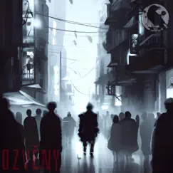 Ozvěny - Single by Spark album reviews, ratings, credits