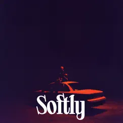 Softly - Single by Arlo Parks album reviews, ratings, credits