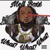 What! What! What! album lyrics, reviews, download