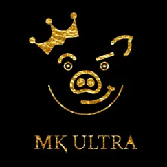 Big Star - Single by MK Ultra album reviews, ratings, credits