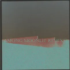 Among Moonlit Ruins (Strange Loop of Habit Remix) Song Lyrics