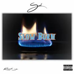 Slow Burn - Single by Saeed album reviews, ratings, credits