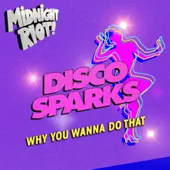 Why You Wanna Do That (Extended Mix) Song Lyrics